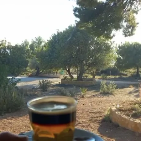 Restaurant Cau Blanch Useras